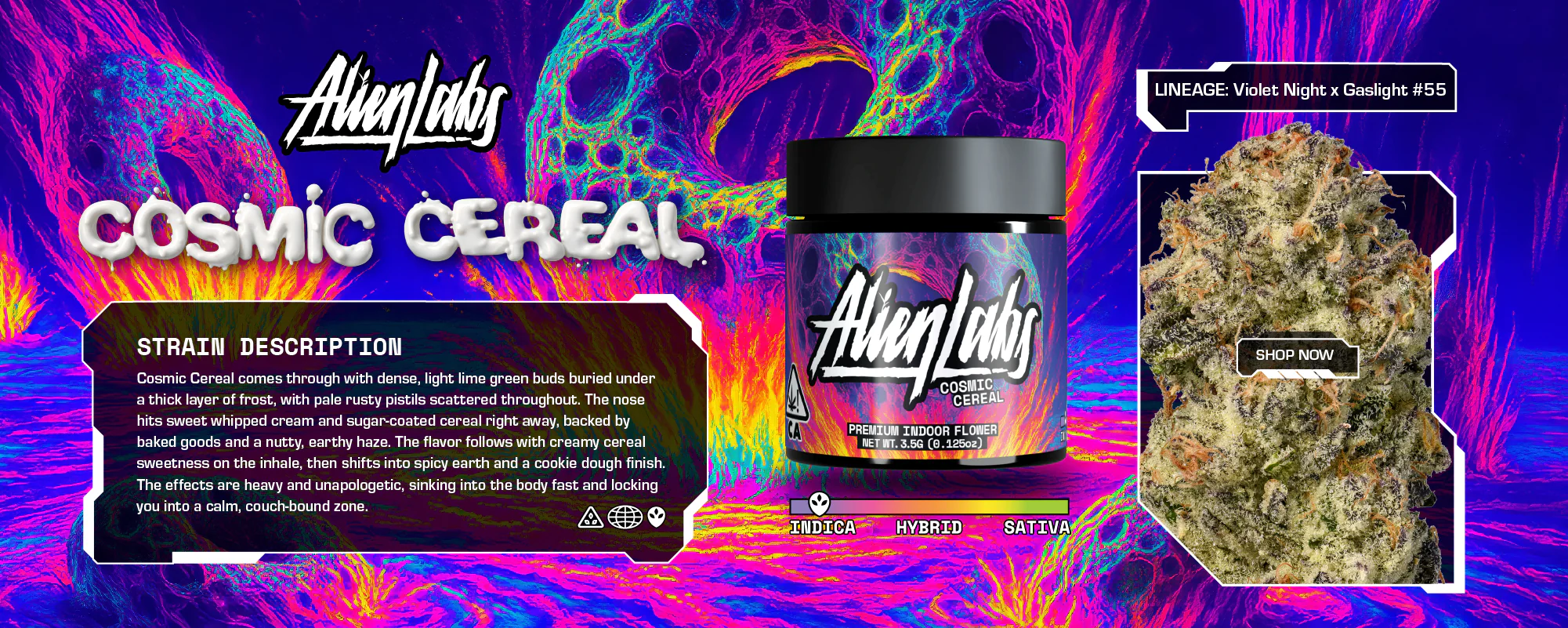 ALIEN LABS
